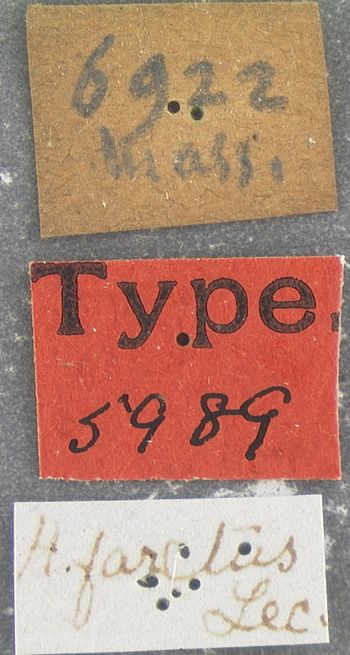 Media type: image;   Entomology 5989 Aspect: labels
